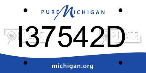 I37542D Michigan License Plate
