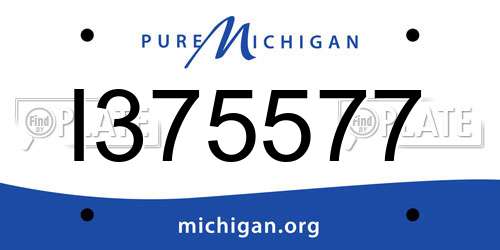 I375577 Michigan License Plate