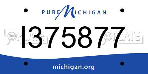I375877 Michigan License Plate
