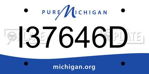 I37646D Michigan License Plate