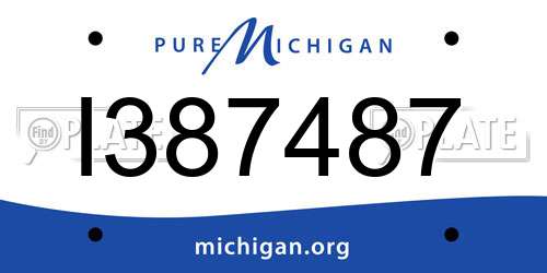 I387487 Michigan License Plate