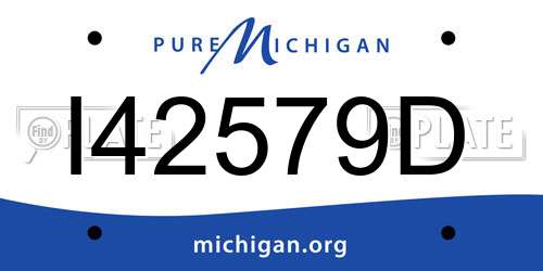 I42579D Michigan License Plate