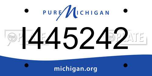 I445242 Michigan License Plate