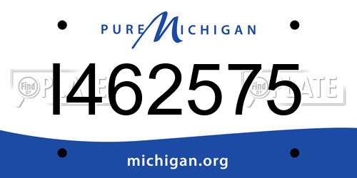 I462575 Michigan License Plate
