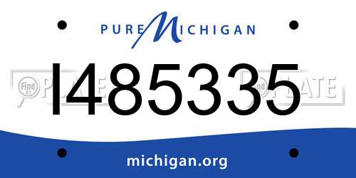 I485335 Michigan License Plate