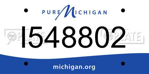 I548802 Michigan License Plate