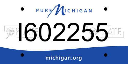 I602255 Michigan License Plate