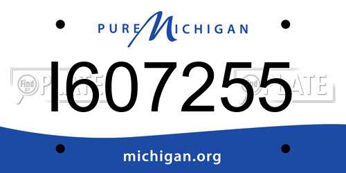I607255 Michigan License Plate