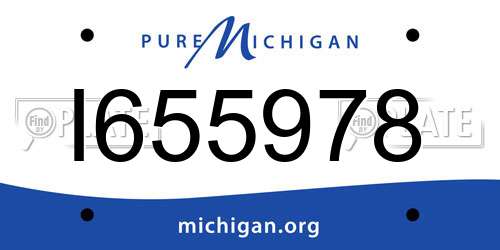I655978 Michigan License Plate