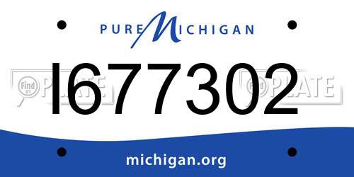 I677302 Michigan License Plate