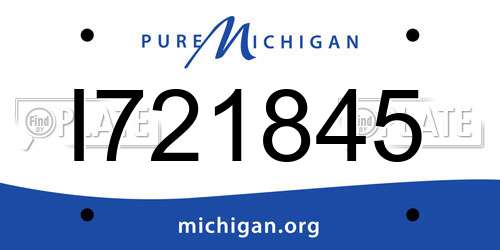I721845 Michigan License Plate