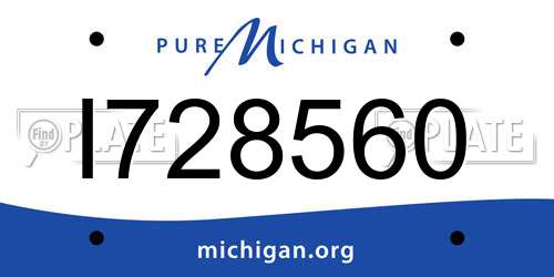 I728560 Michigan License Plate