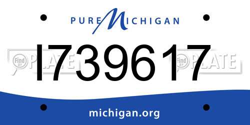 I739617 Michigan License Plate