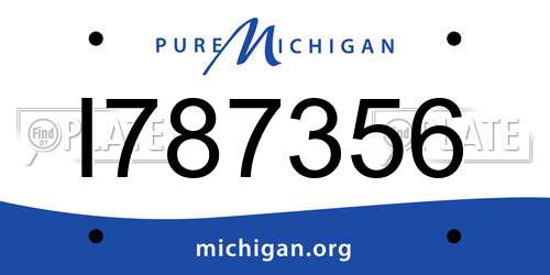 I787356 Michigan License Plate