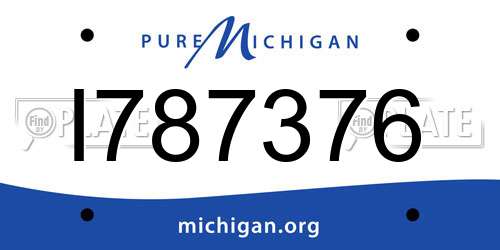 I787376 Michigan License Plate