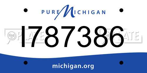 I787386 Michigan License Plate