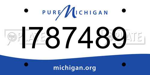 I787489 Michigan License Plate
