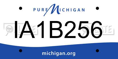IA1B256 Michigan License Plate