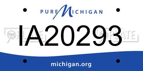 IA20293 Michigan License Plate