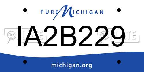 IA2B229 Michigan License Plate