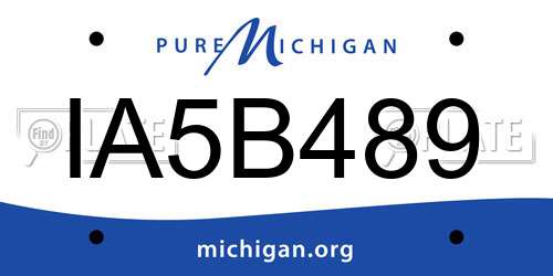 IA5B489 Michigan License Plate