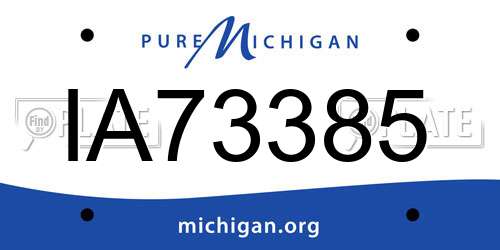 IA73385 Michigan License Plate