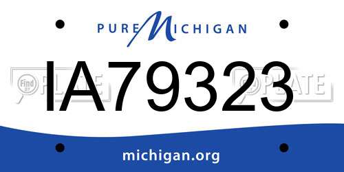 IA79323 Michigan License Plate