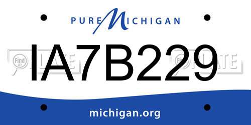 IA7B229 Michigan License Plate