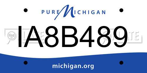 IA8B489 Michigan License Plate
