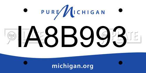 IA8B993 Michigan License Plate