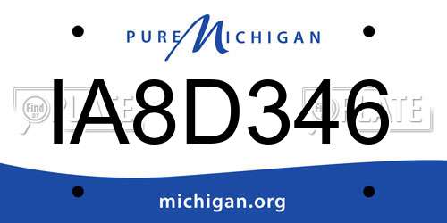 IA8D346 Michigan License Plate