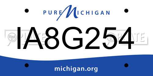 IA8G254 Michigan License Plate
