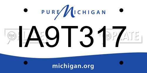 IA9T317 Michigan License Plate