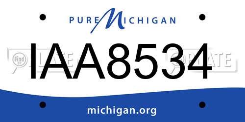 IAA8534 Michigan License Plate