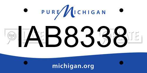 IAB8338 Michigan License Plate