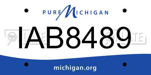 IAB8489 Michigan License Plate
