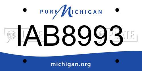 IAB8993 Michigan License Plate