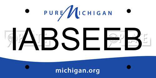 IABSEEB Michigan License Plate