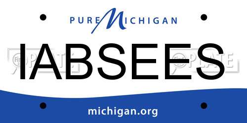 IABSEES Michigan License Plate