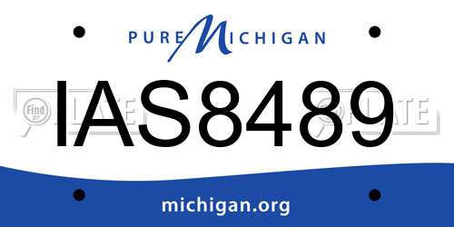 IAS8489 Michigan License Plate