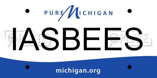 IASBEES Michigan License Plate