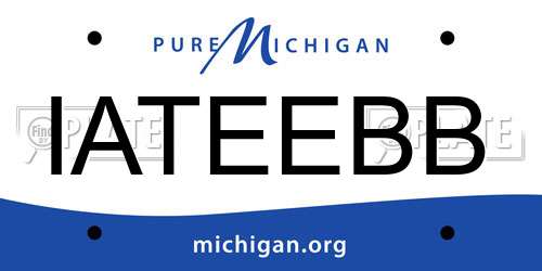 IATEEBB Michigan License Plate