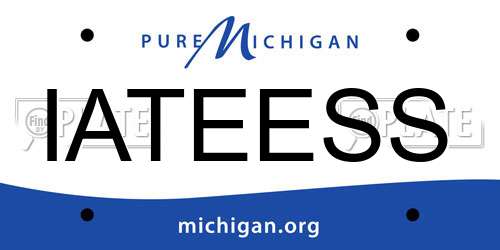 IATEESS Michigan License Plate