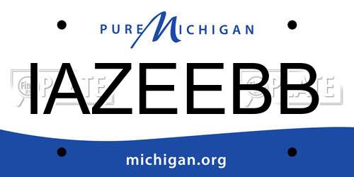 IAZEEBB Michigan License Plate