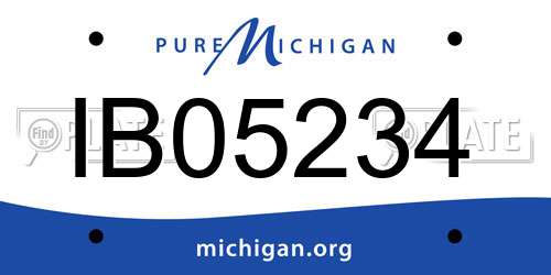 IB05234 Michigan License Plate