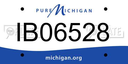 IB06528 Michigan License Plate