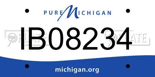 IB08234 Michigan License Plate