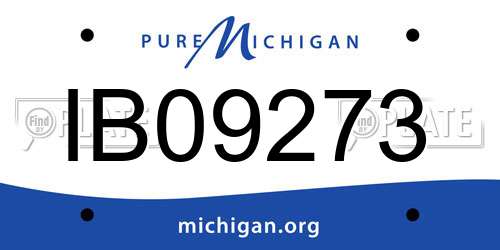IB09273 Michigan License Plate