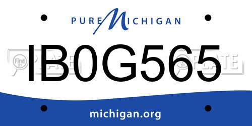 IB0G565 Michigan License Plate