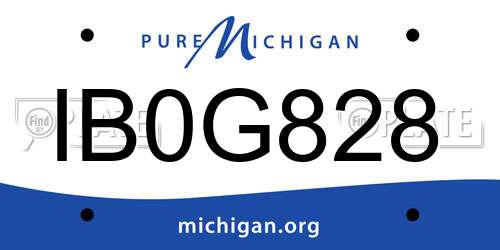 IB0G828 Michigan License Plate